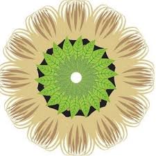 Logo of the brand Preferred Matcha Tea Company