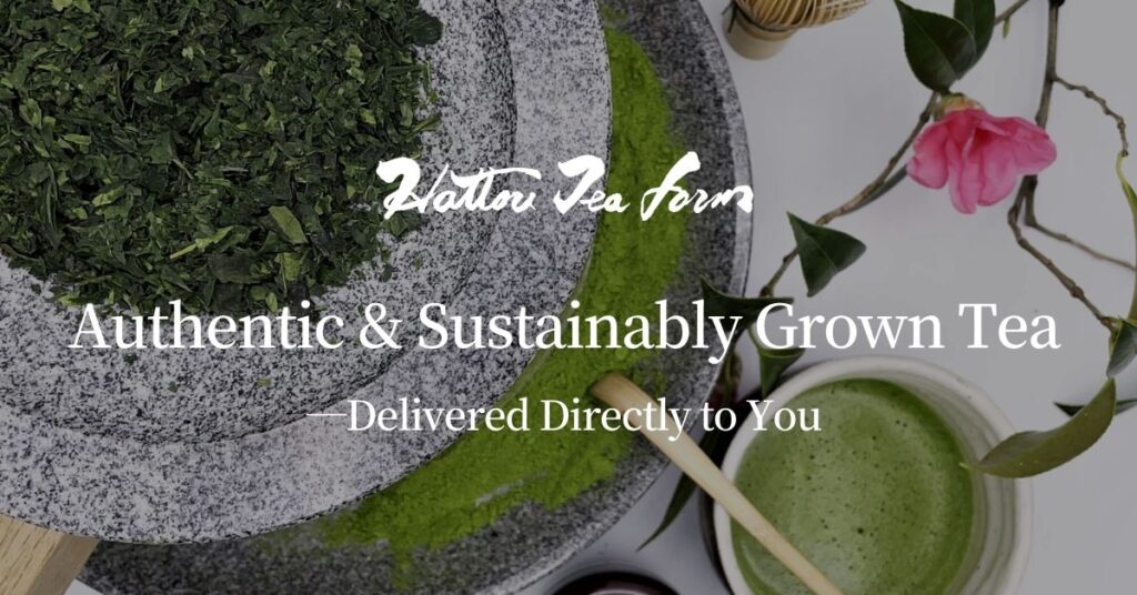 Image of Hattori Tea Farm — Four generations crafting authentic stone-milled matcha since 1905