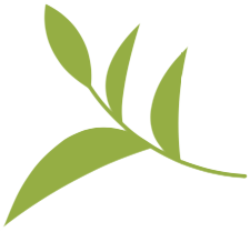 Logo of the matcha brand Kitao Matcha