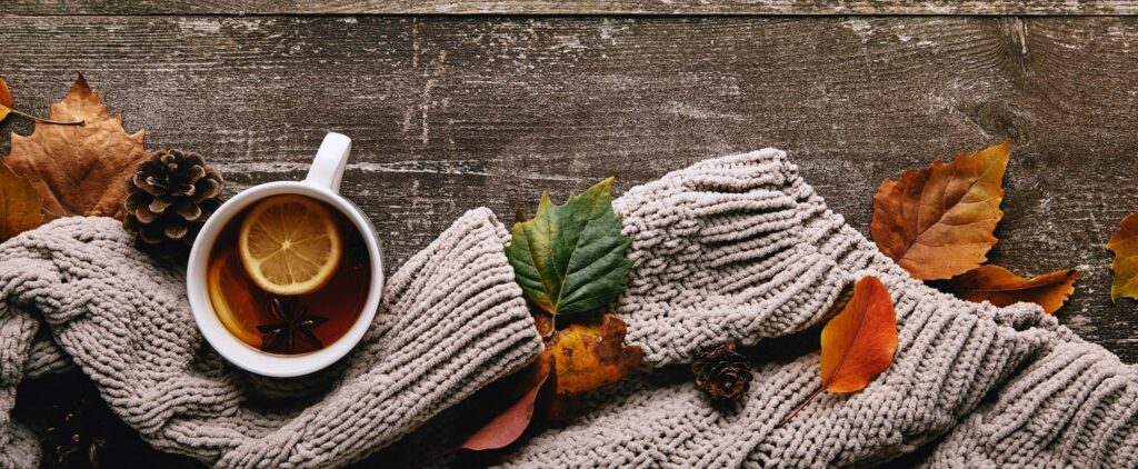 Image of TotaliTea — Calgary's family matcha boutique since 2002