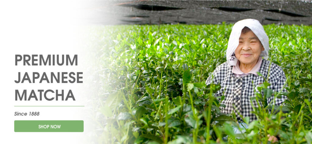 Image of Aiya America — World's leading matcha producer since 1888