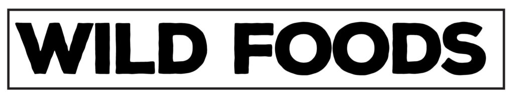 Image of Wild Foods — Ancestral nutrition through clean superfood matcha ingredients