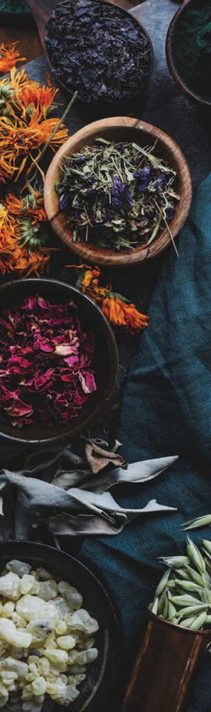 Image of Mountain Rose Herbs — Organic matcha and herbs since 1987