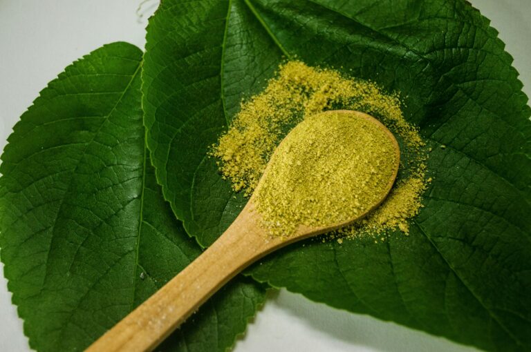 Definition of chlorophyll in the matcha glossary