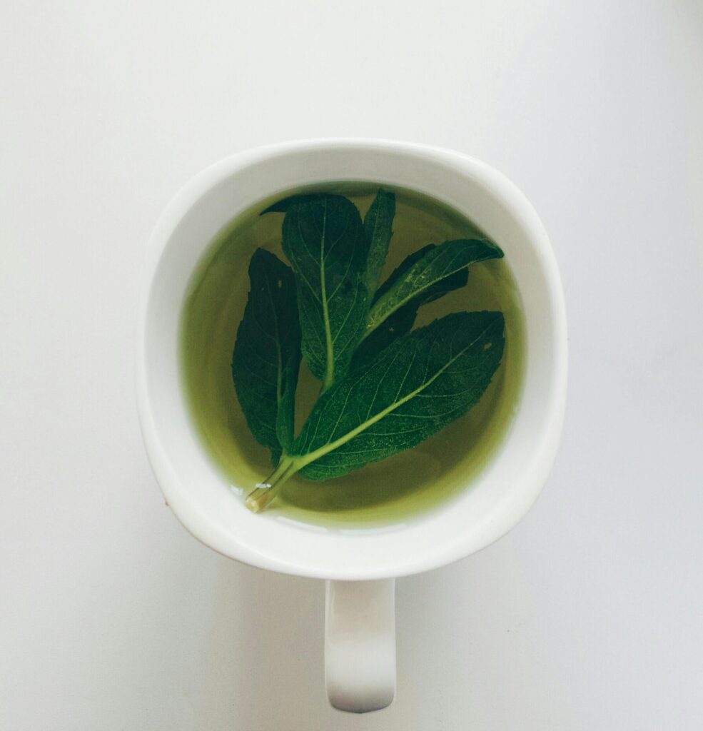 Definition of sencha in the matcha glossary