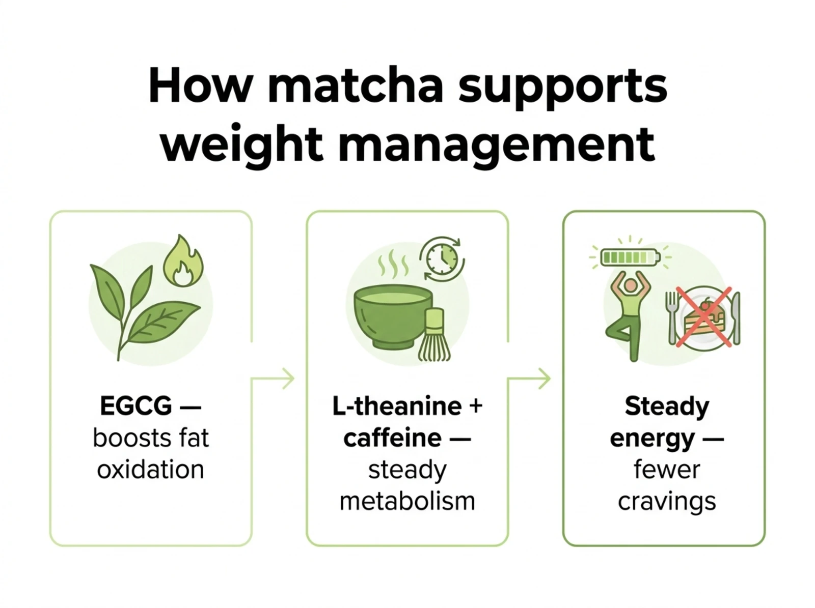 Infographic showing how matcha EGCG boosts fat oxidation and L-theanine plus caffeine support steady metabolism and fewer cravings