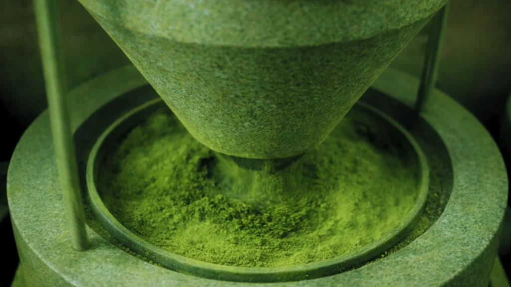 Littlefoot Matcha YouTube channel cover