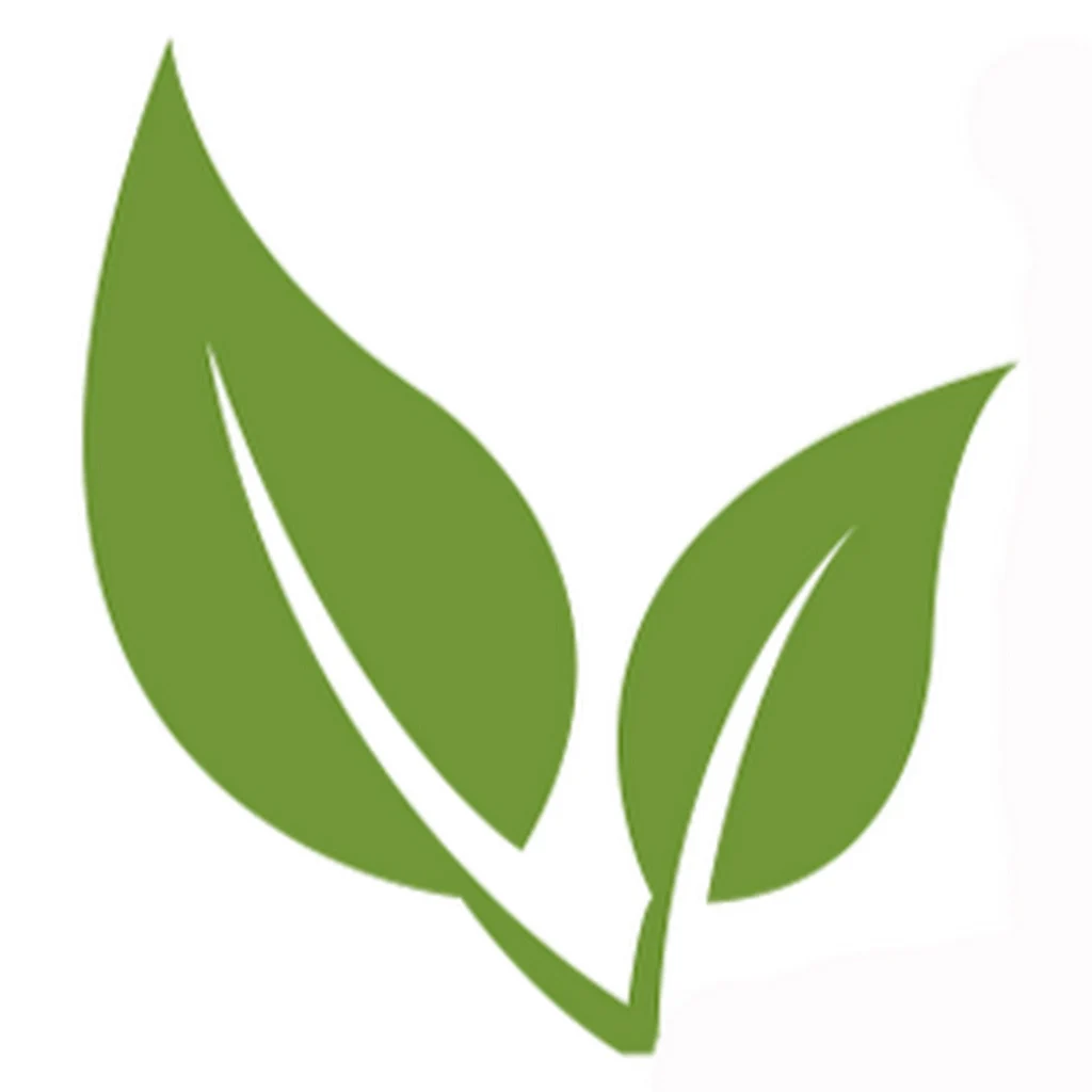 Matcha Outlet