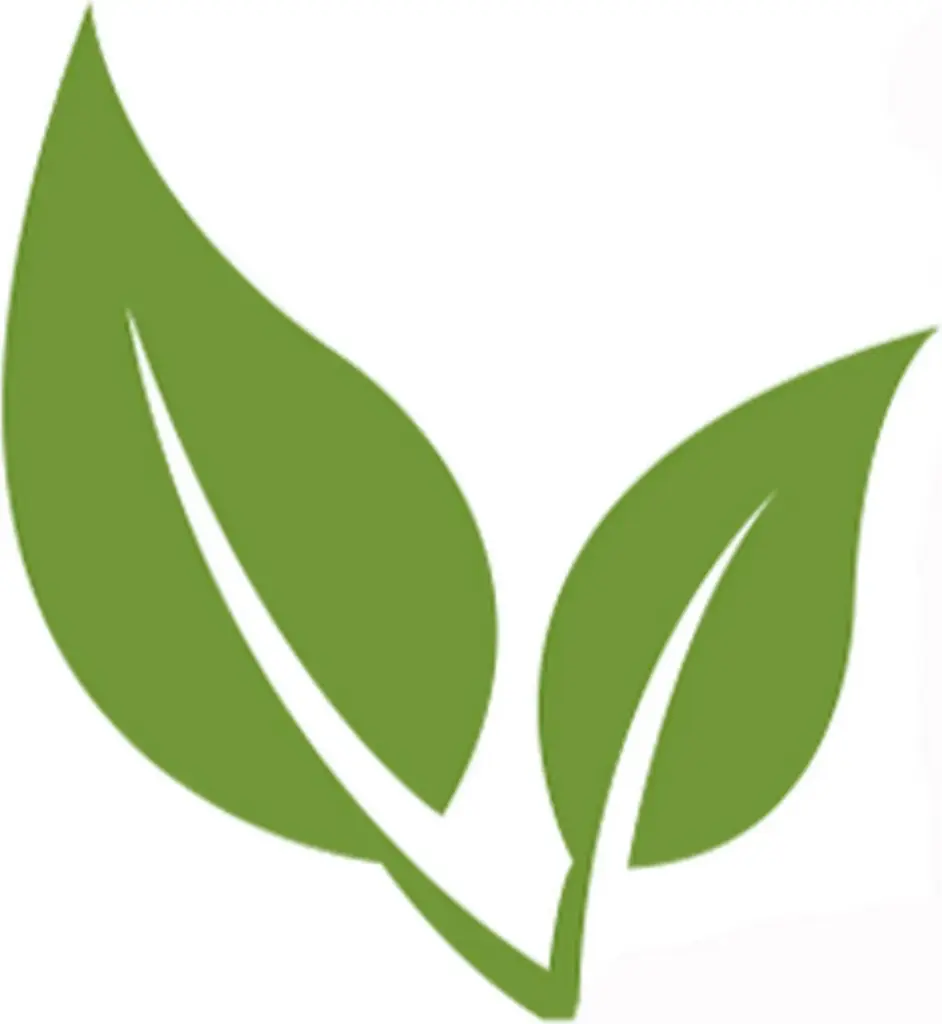 Logo of Matcha Outlet