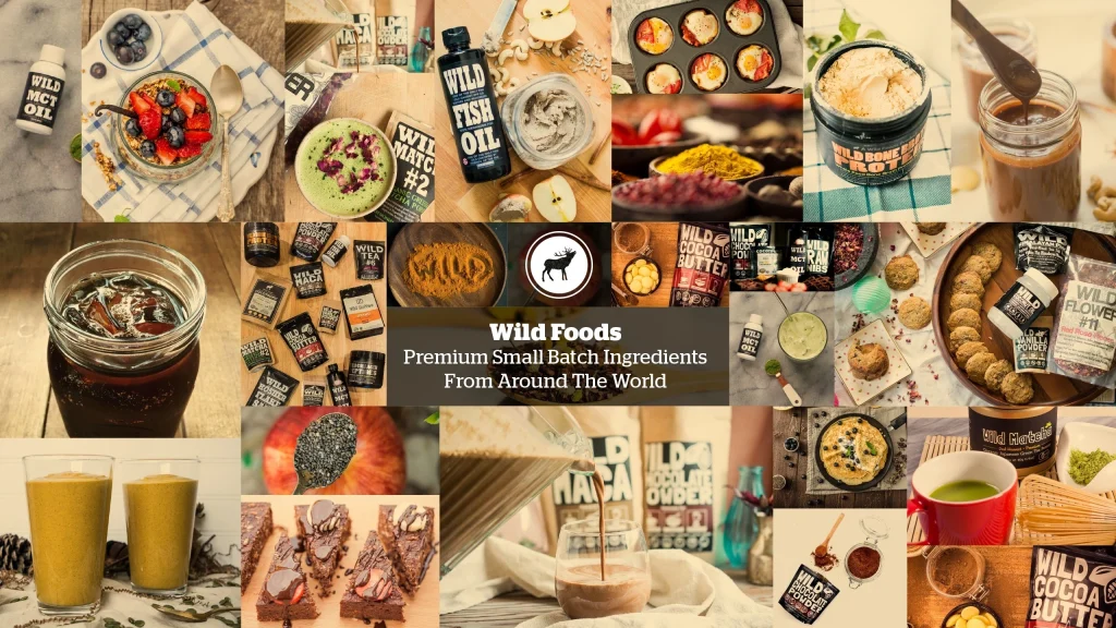 Wild Foods YouTube channel cover