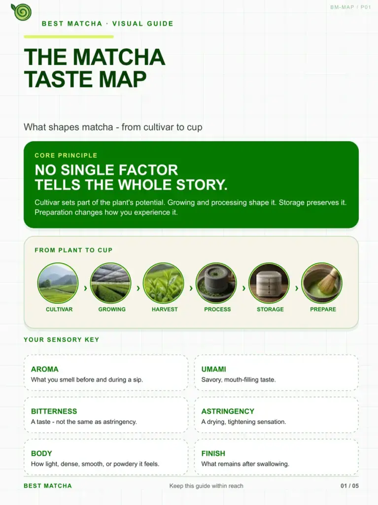 Matcha Taste Map Guide