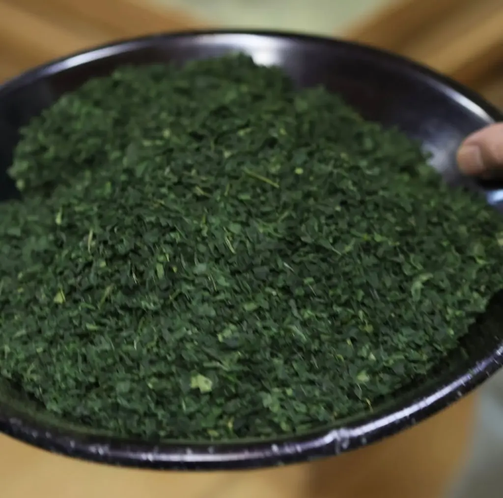 Dark green processed tea leaves piled on a round black tray