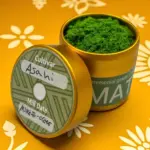 Open gold tin filled with green matcha powder beside a lid labeled Cultivar Asahi