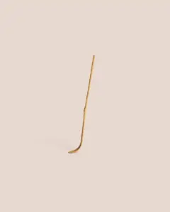 Slender bamboo chashaku with a curved scoop standing against a pale beige background