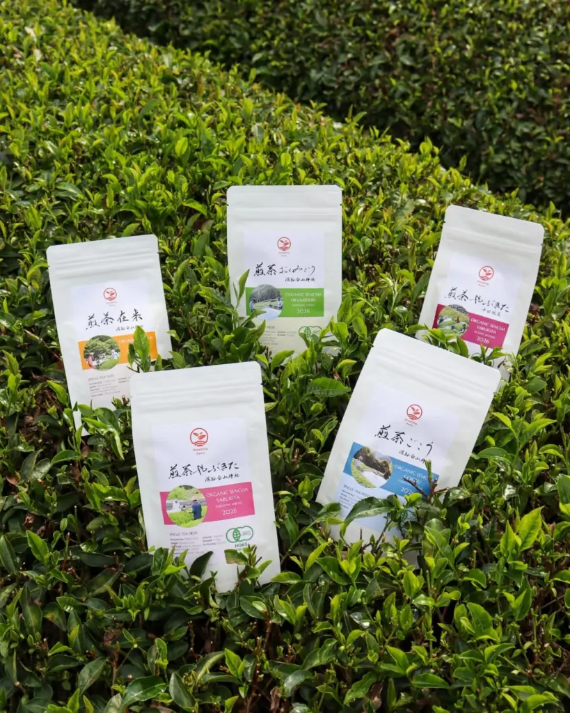 Five white d:matcha Kyoto sencha pouches arranged among green tea plants