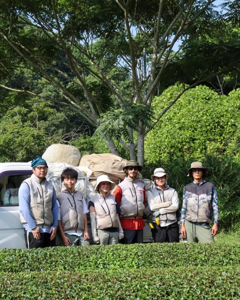 Six people standing behind tea bushes beside a loaded white vehicle