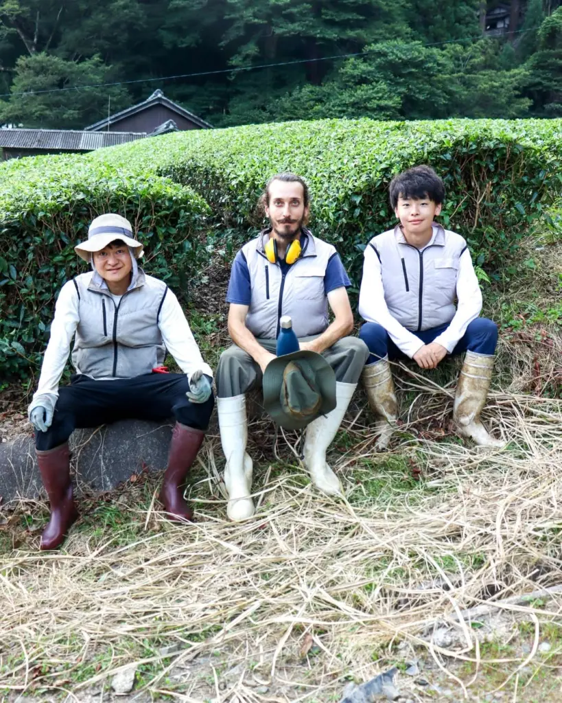 Three workers in boots and utility vests seated beside trimmed tea bushes