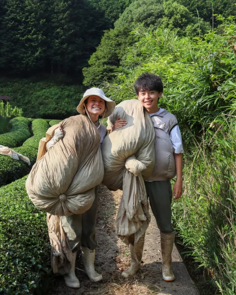 Two smiling workers carrying large bundled field covers between rows of tea bushes