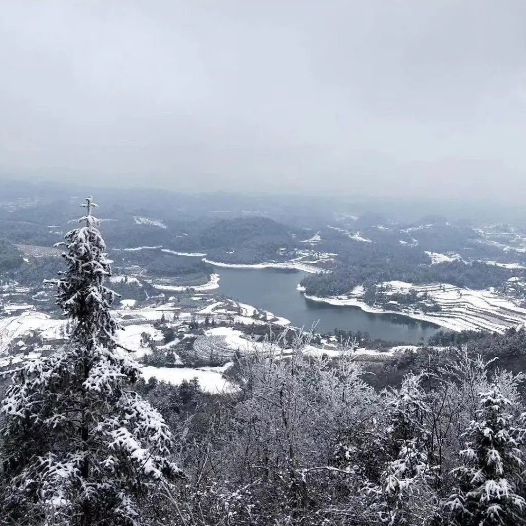 Snow-covered evergreens overlooking a lake and terraced hills beneath low clouds