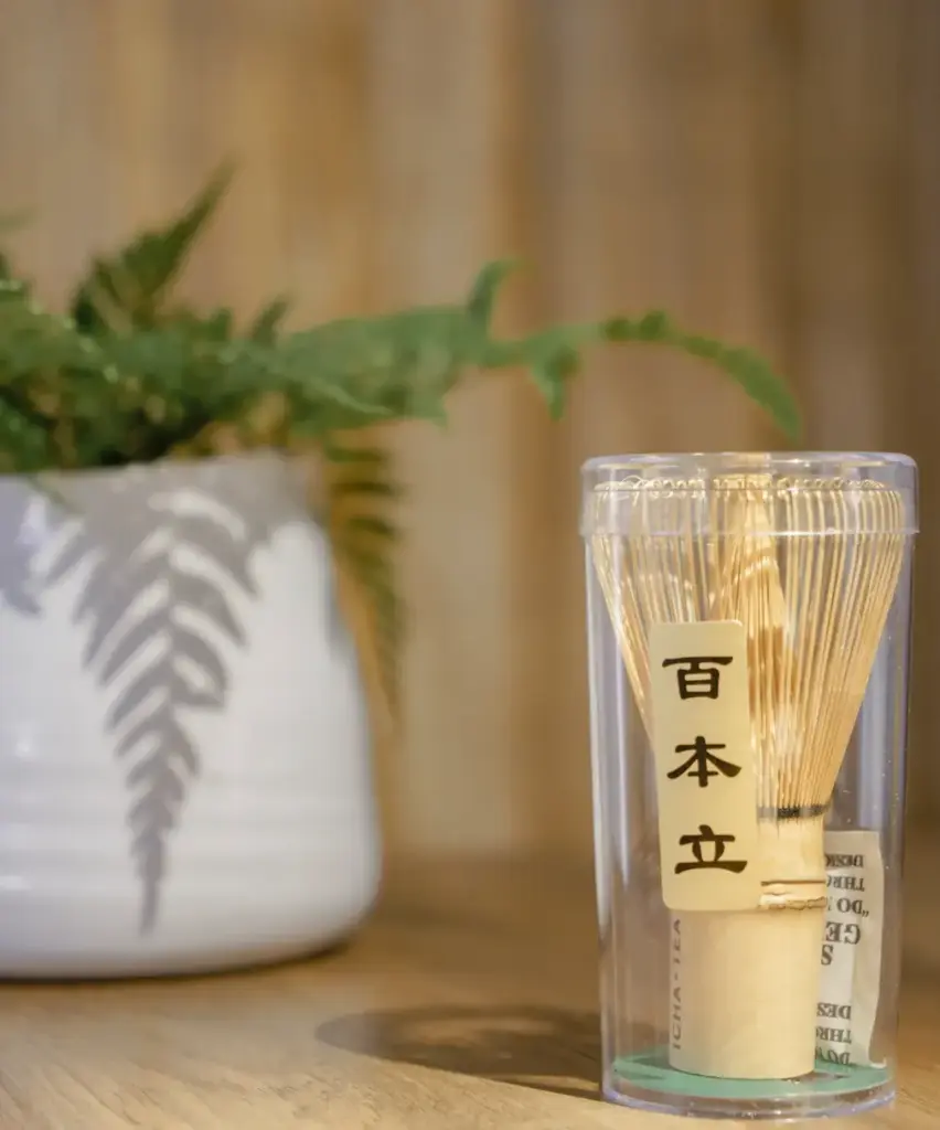 Bamboo matcha whisk in a clear cylindrical tube labeled 百本立, on a wooden surface beside a white potted fern