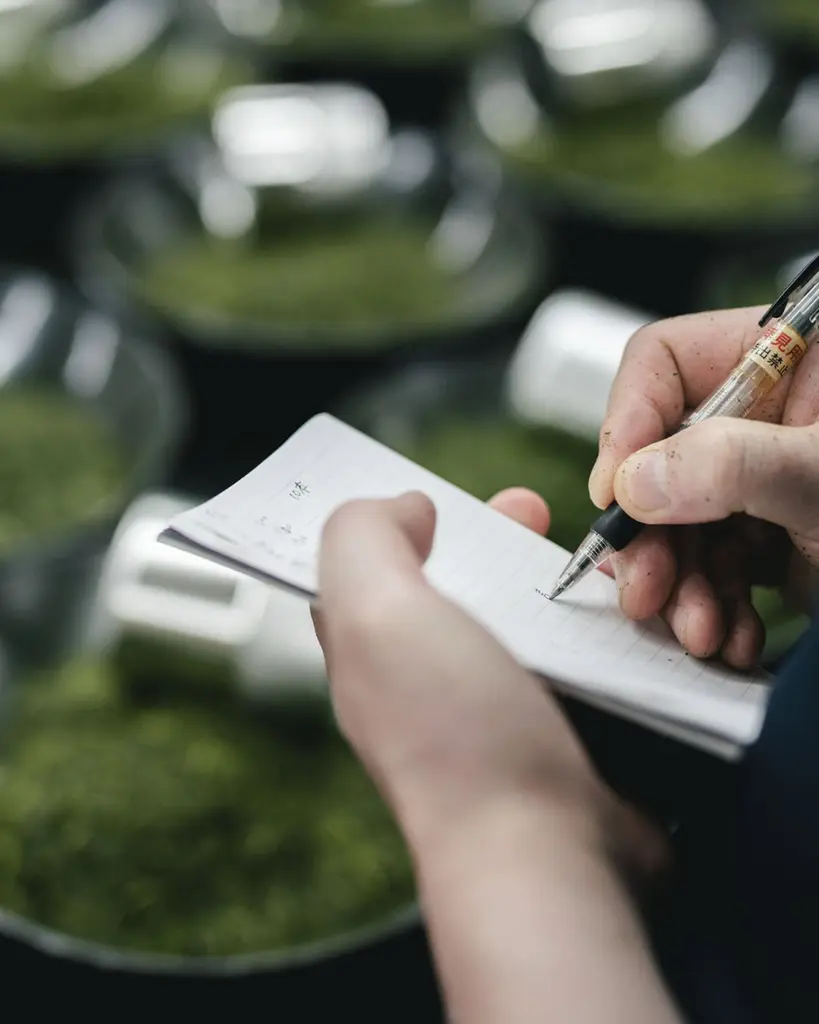 Hands writing in a notebook beside bowls of green tea leaves