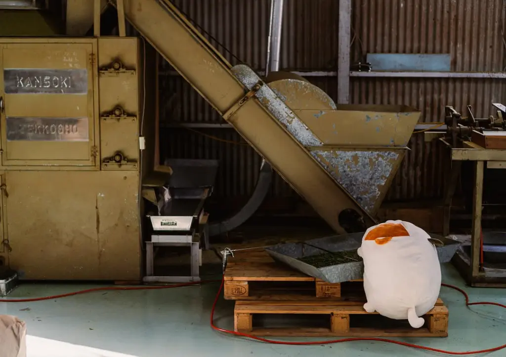 Cat plush facing a sloped conveyor above metal trays and wooden pallets