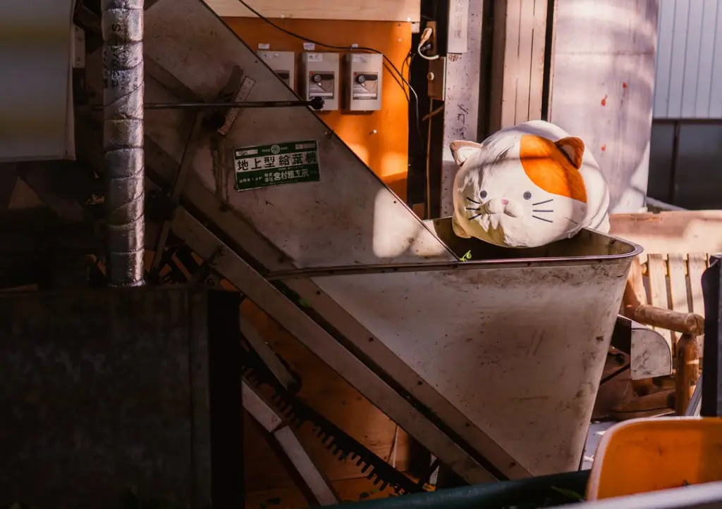 White and orange cat plush resting on a metal tea processing machine