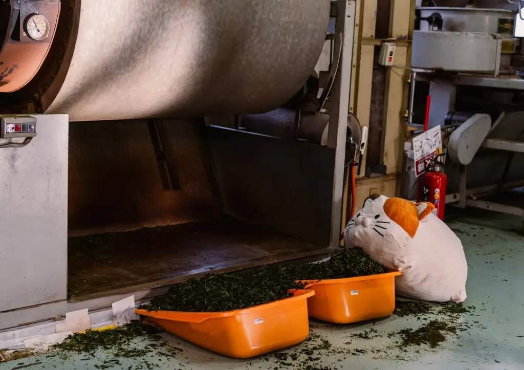 Cat plush beside two orange trays filled with green leaves near a large drum