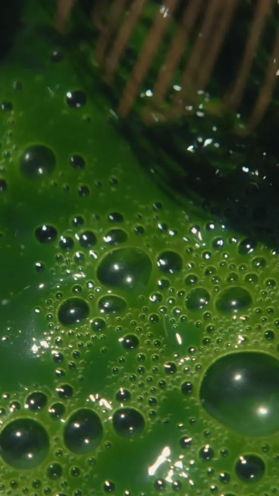 Close-up of bubbles across vivid green tea beneath a bamboo whisk