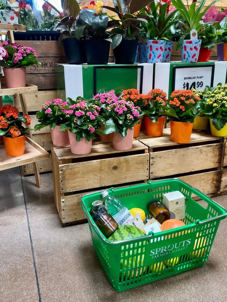 Green basket with Moon Juice products and produce beside colorful potted flowers