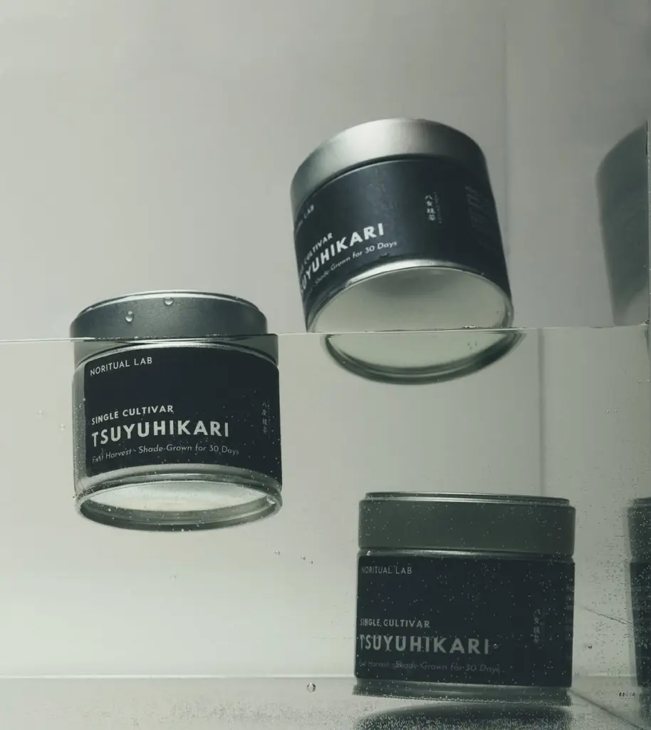 Three black Tsuyuhikari tins positioned around the waterline in a clear tank