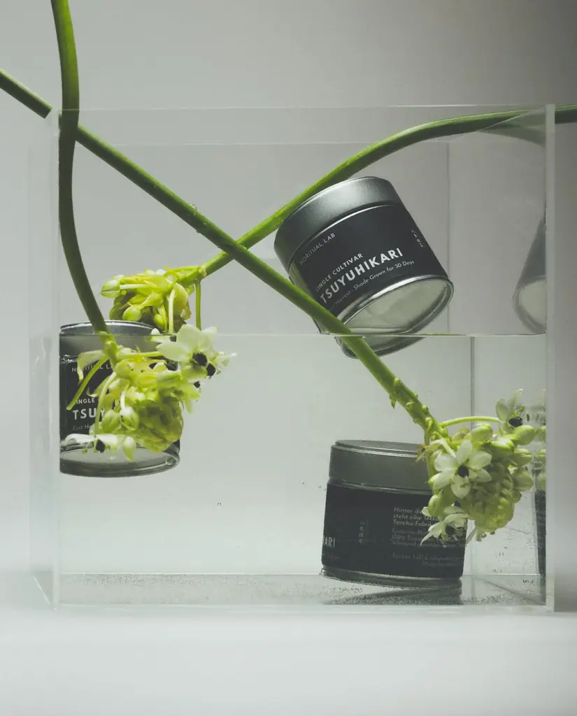 Black Tsuyuhikari tins arranged among green stems and white flowers in a clear display