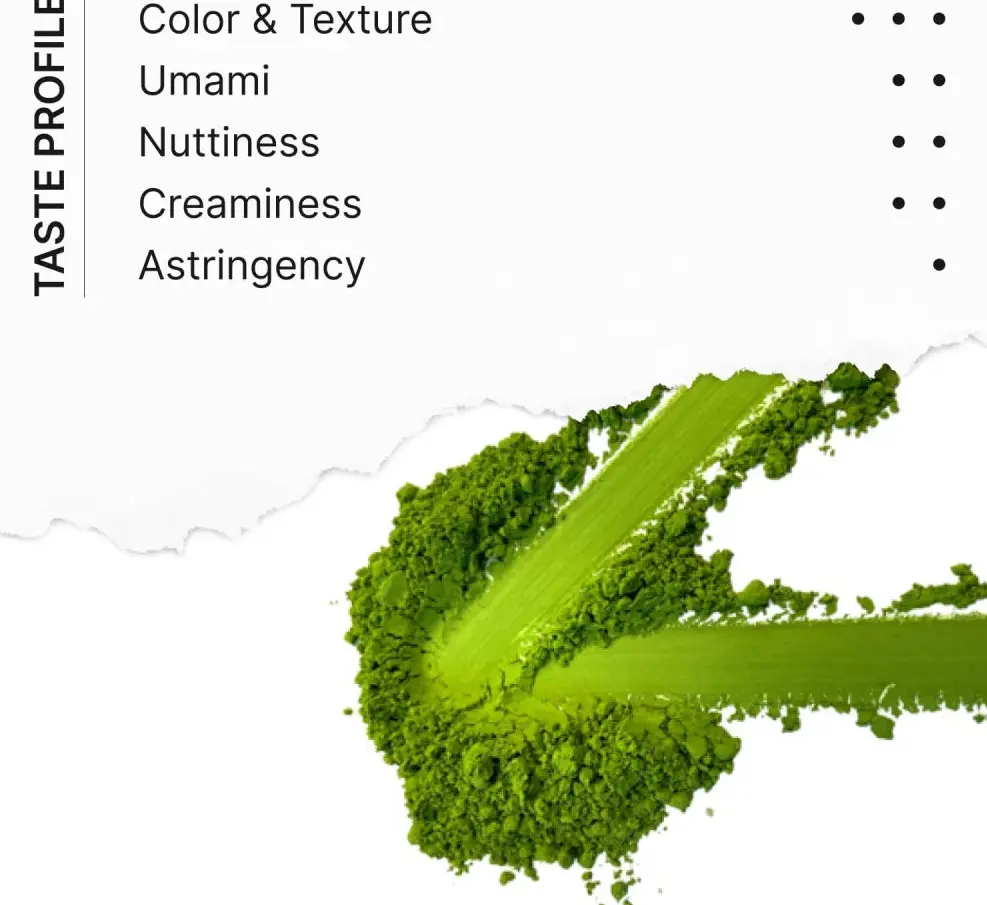 Green matcha powder spread beneath a taste profile chart for color, umami, nuttiness, creaminess, and astringency