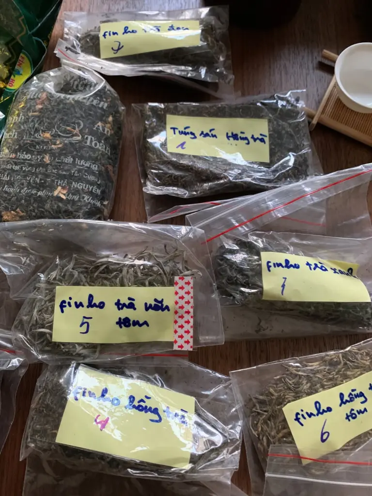 Clear plastic bags of loose tea leaves with handwritten labels and numbers