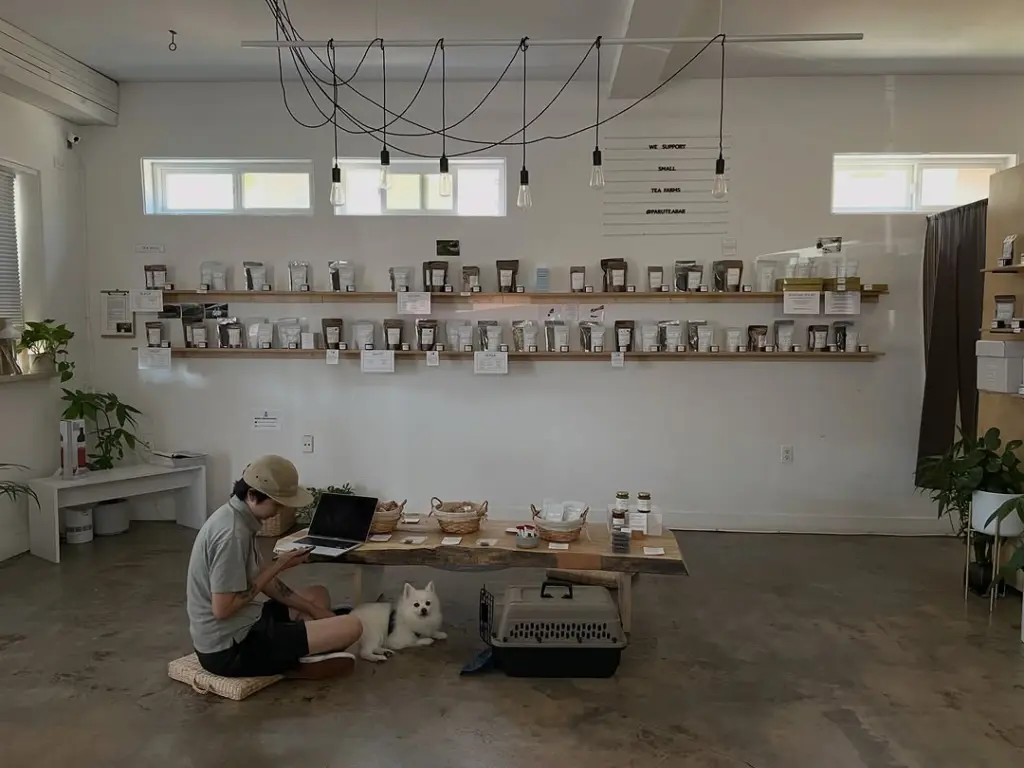 Person seated beside a small white dog in a tea shop