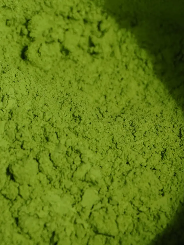 Close-up of finely ground bright green powder