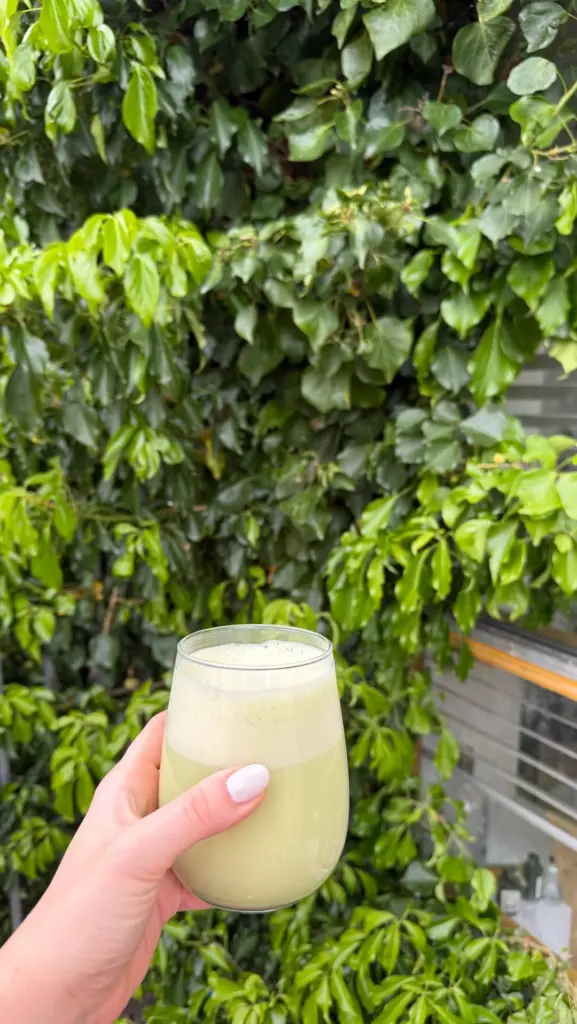 Hand holding a glass of frothy pale green drink against leafy foliage