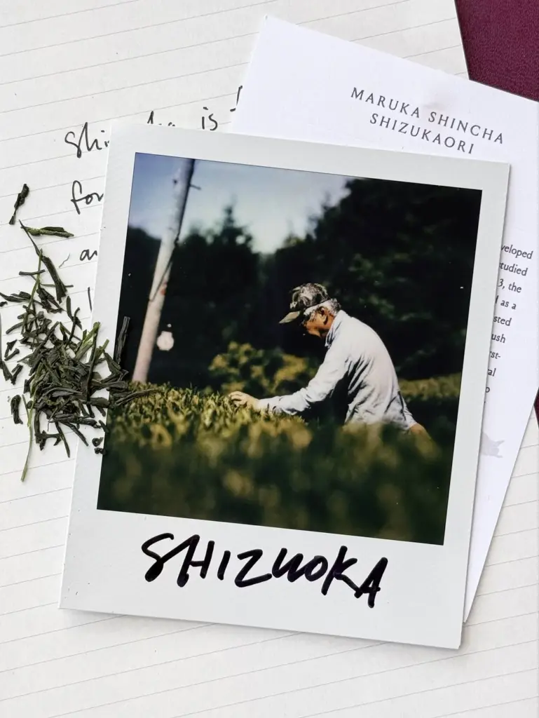 Printed photograph of a person tending plants beside loose tea leaves and papers