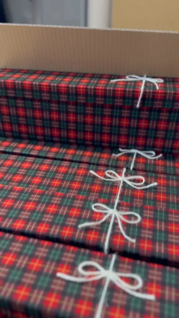 Tartan boxes tied with white string inside an open cardboard carton