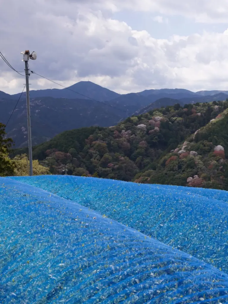 Blue mesh covering a hillside field with forested mountains beyond