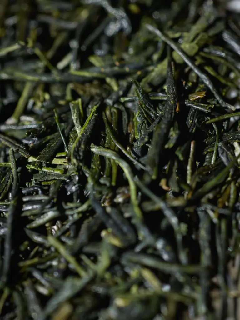 Macro view of dark green steeped tea leaves
