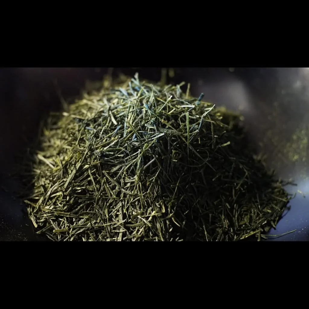Mound of slender green tea leaves in close-up