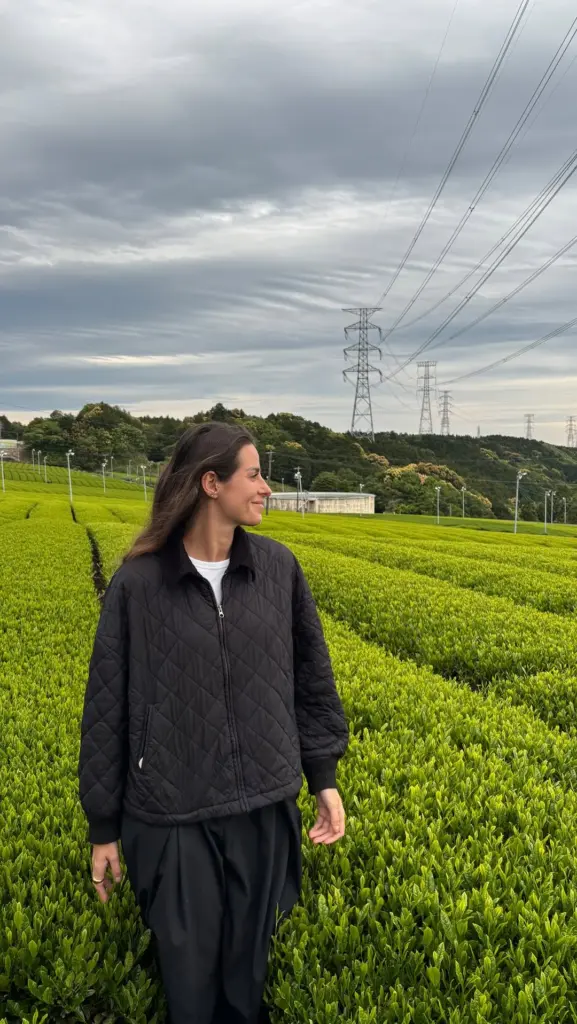 Person in a black jacket standing among rows of bright green tea plants